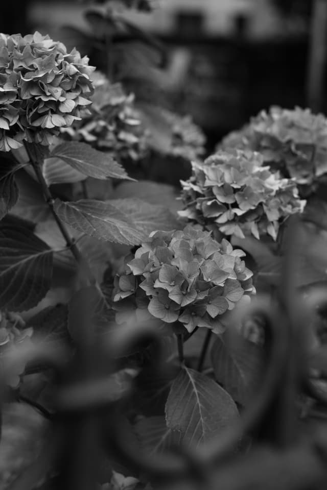 One of my photos