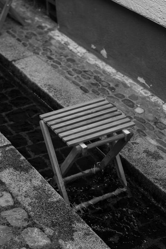 One of my photos